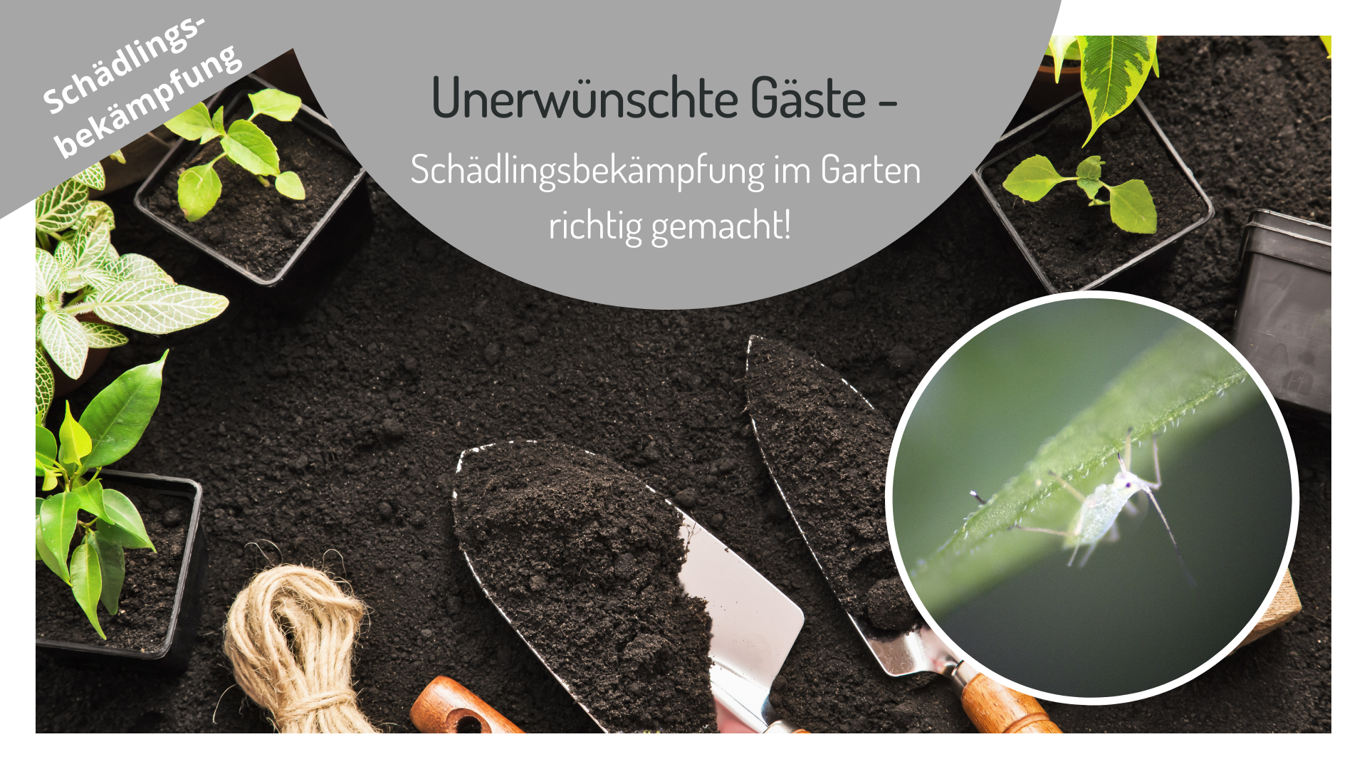 Schädlingsbekämpfung im Garten